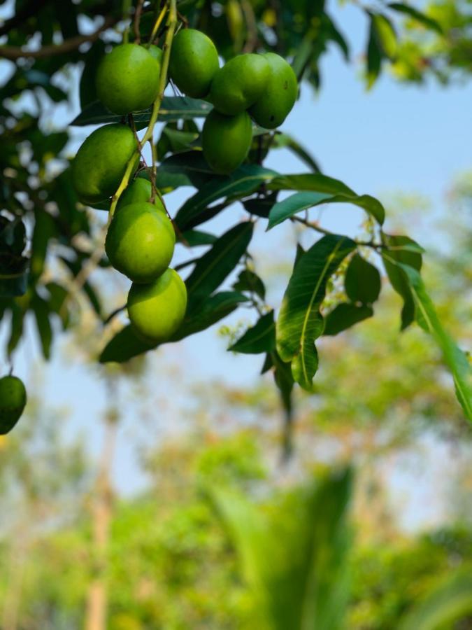 Eco Farm Villa Bangalore Eksteriør billede
