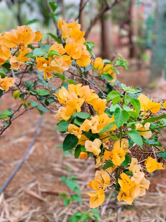 Eco Farm Villa Bangalore Eksteriør billede