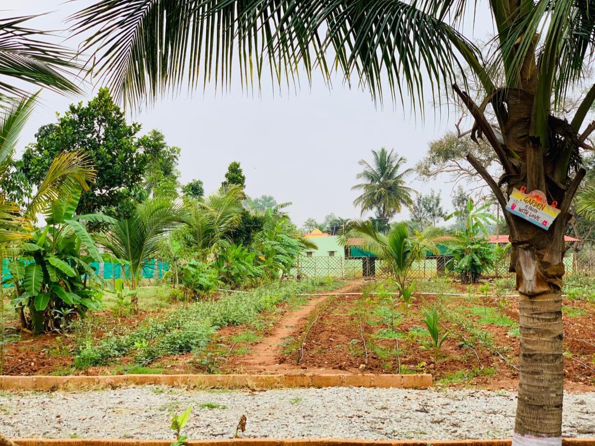 Eco Farm Villa Bangalore Eksteriør billede