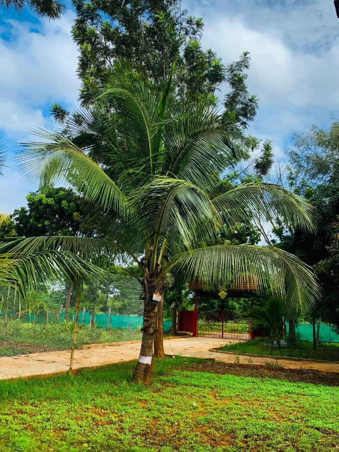 Eco Farm Villa Bangalore Eksteriør billede