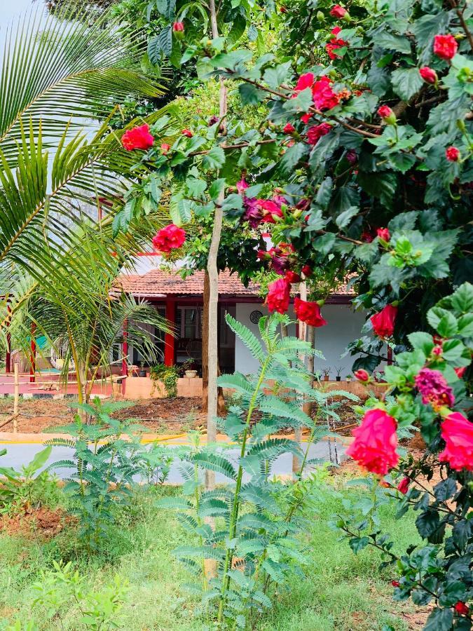 Eco Farm Villa Bangalore Eksteriør billede