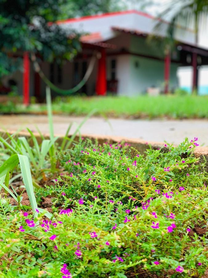 Eco Farm Villa Bangalore Eksteriør billede